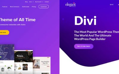 Divi vs Astra: A Battle for the Best Multipurpose WordPress Theme?
